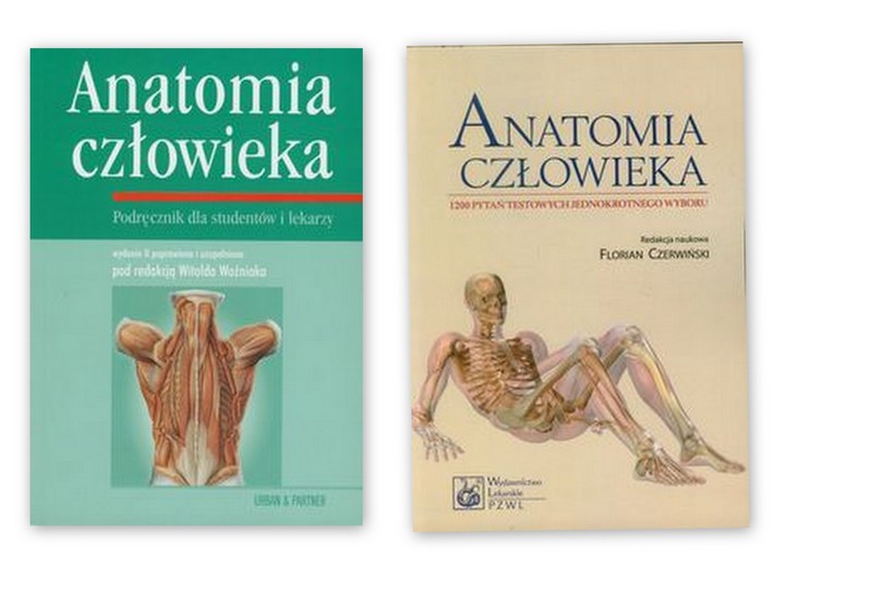 Anatomia Cz Owieka Anatomia Cz Owieka Pyta