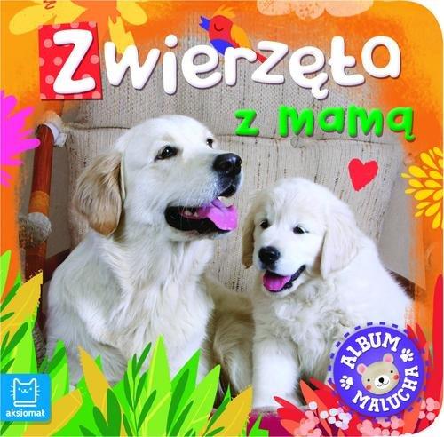 

Album malucha Zwierzęta z mamą