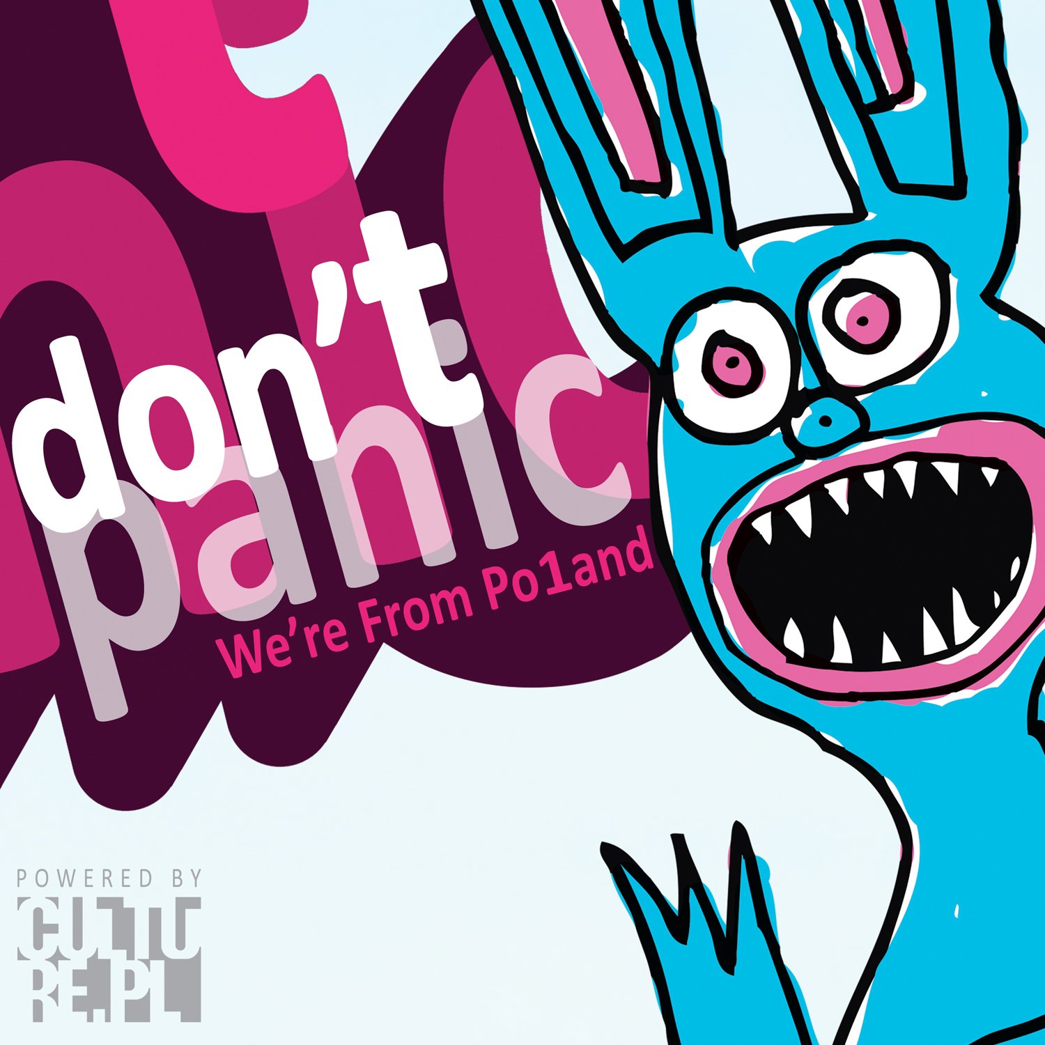 

Różni Wykonawcy Don’t Panic We’re From Poland CD