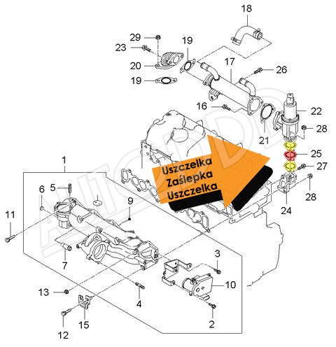 9 Zaślepka EGR KIA HYUNDAI 2.0 CRDI 140KM Numer katalogowy części z8