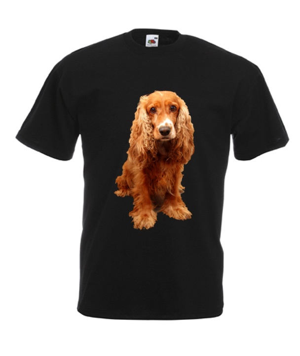 

Koszulki Męskie Cocker spaniel Pies Psy