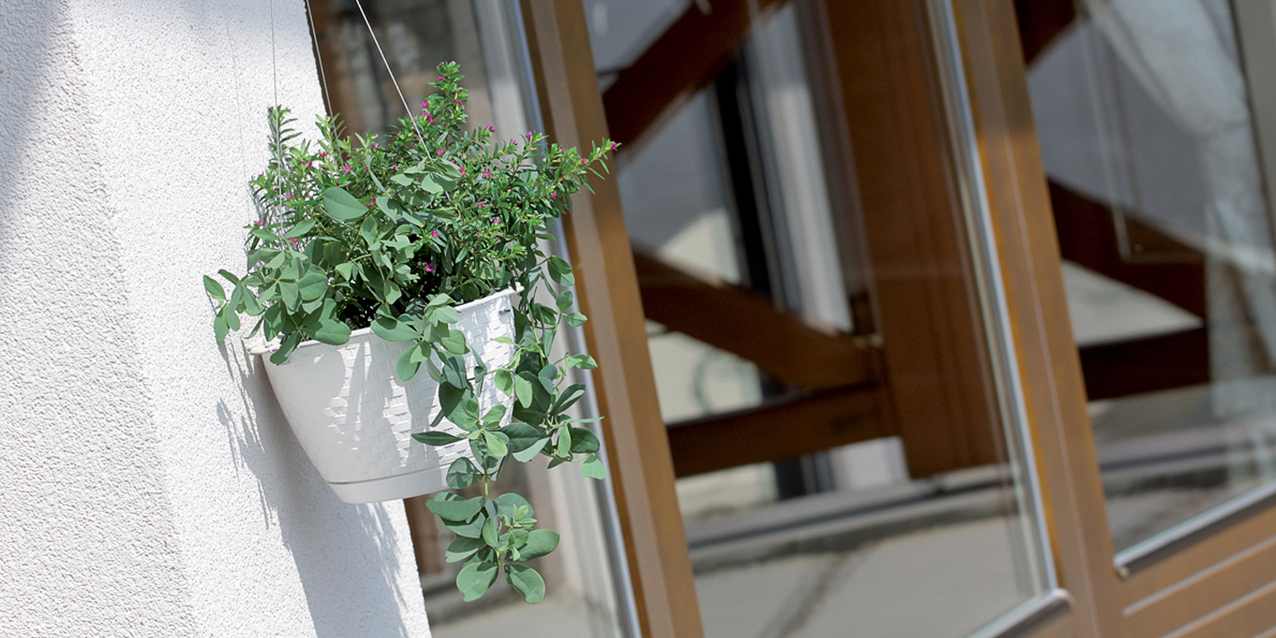 Doniczka RATOLLA ROUND DRLW215 wisząca Umbra brąz Kolor odcienie brązu i beżu