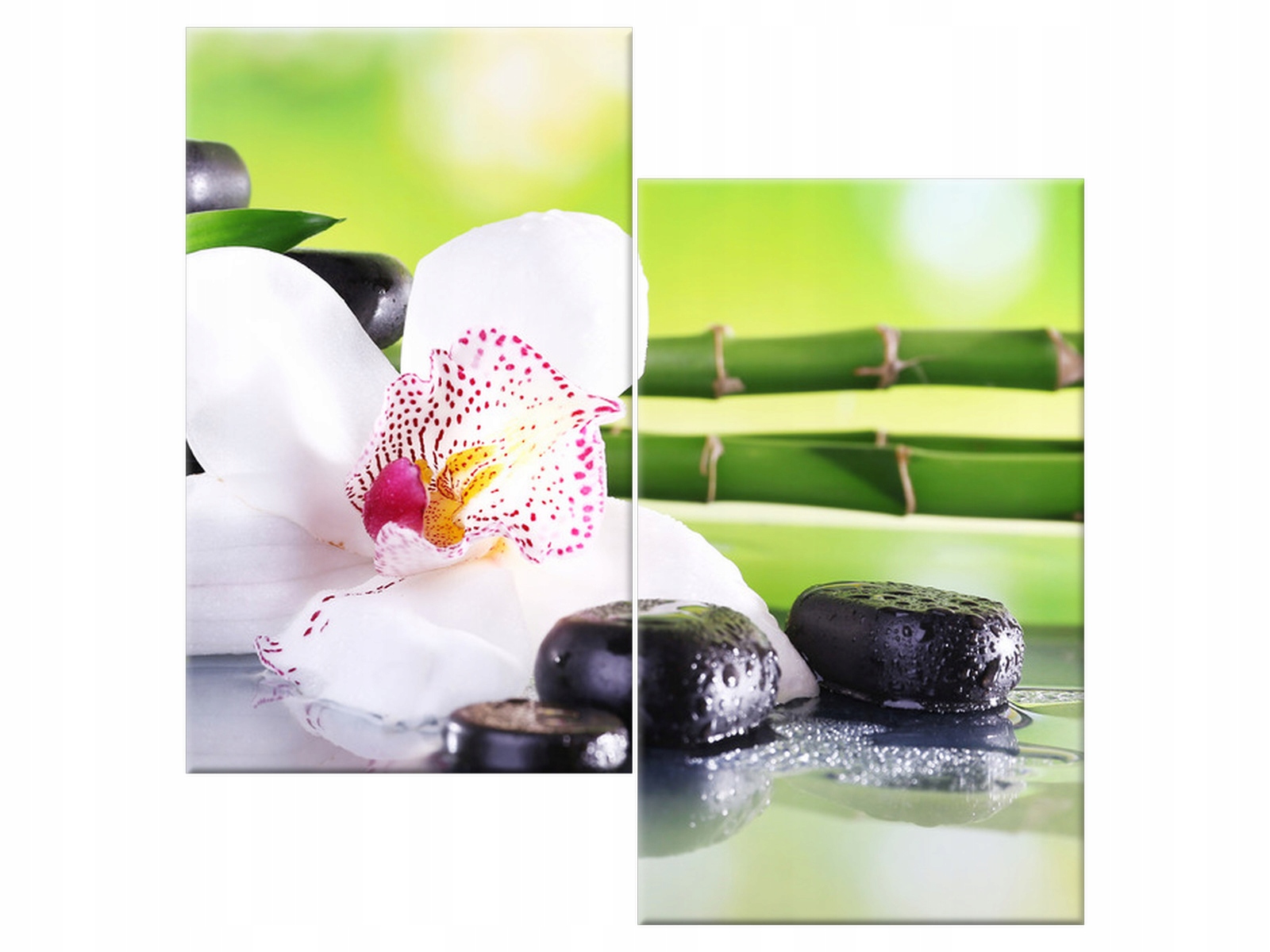 

Obraz Kamienie Spa i storczyk 60x60 Rośliny salon