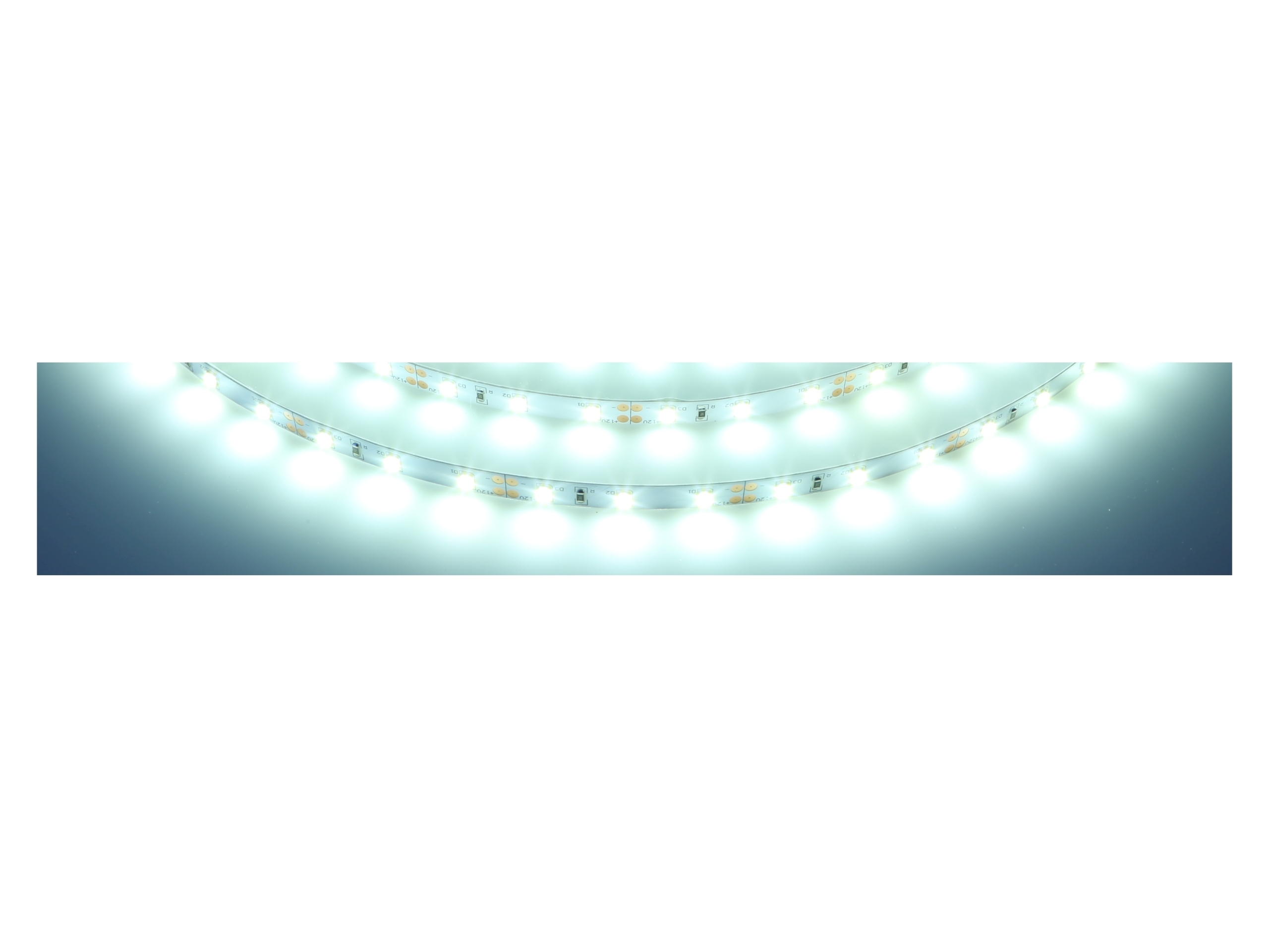 TAŚMA LED 2835 SMD 60 listwa 1m Zimna biel 300/5m