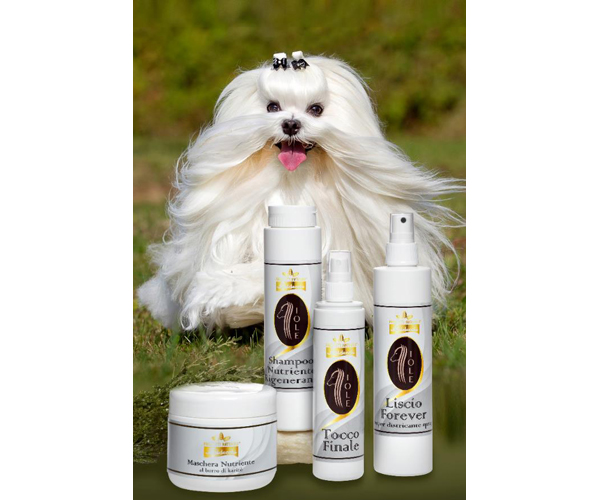 Levně Sada Iole Šampon kondicionér Baldecchi