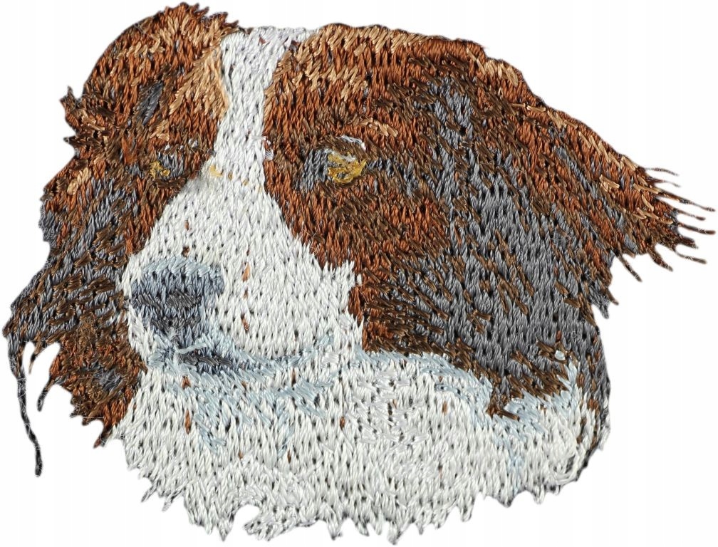 

Kooikerhondje Haft Naszywka Przyszywka Łata