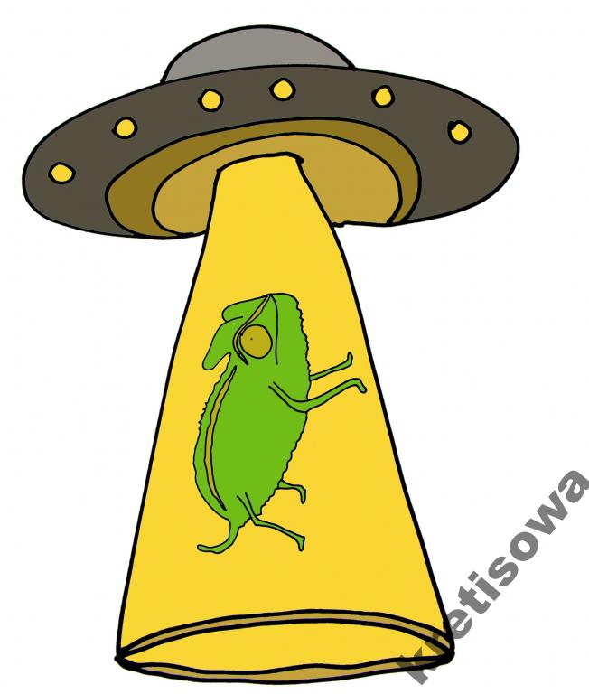 

Damska Kosmos Ufo Ufoludek Kosmita Wzory u1a