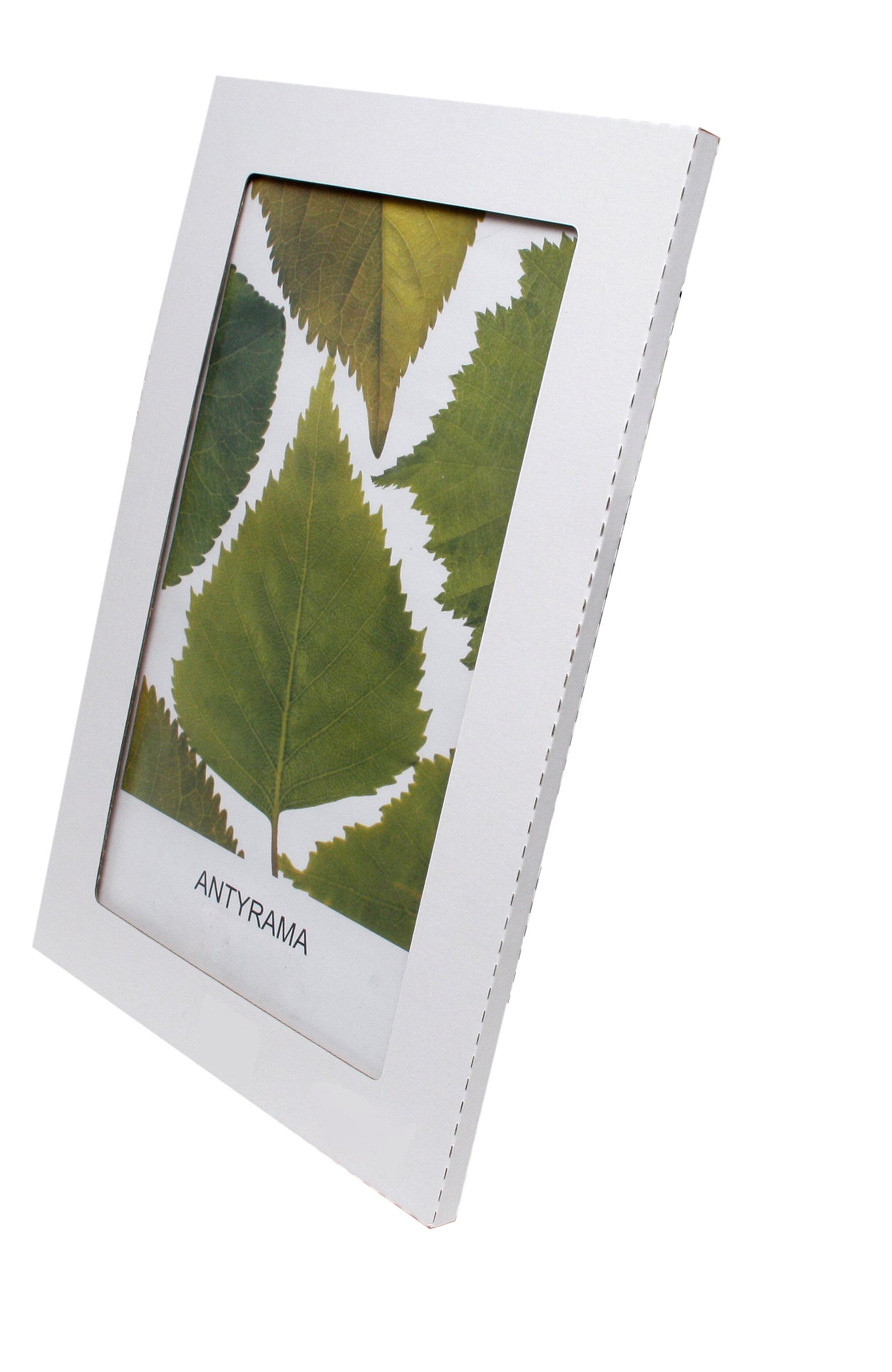 

Antyramy plexi 28x35 cm Warszawa