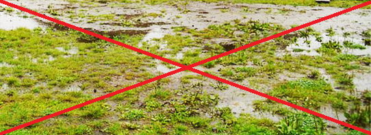 RURA DRENARSKA BEZ OTWORÓW DREN fi 100 50 mb Marka OBI