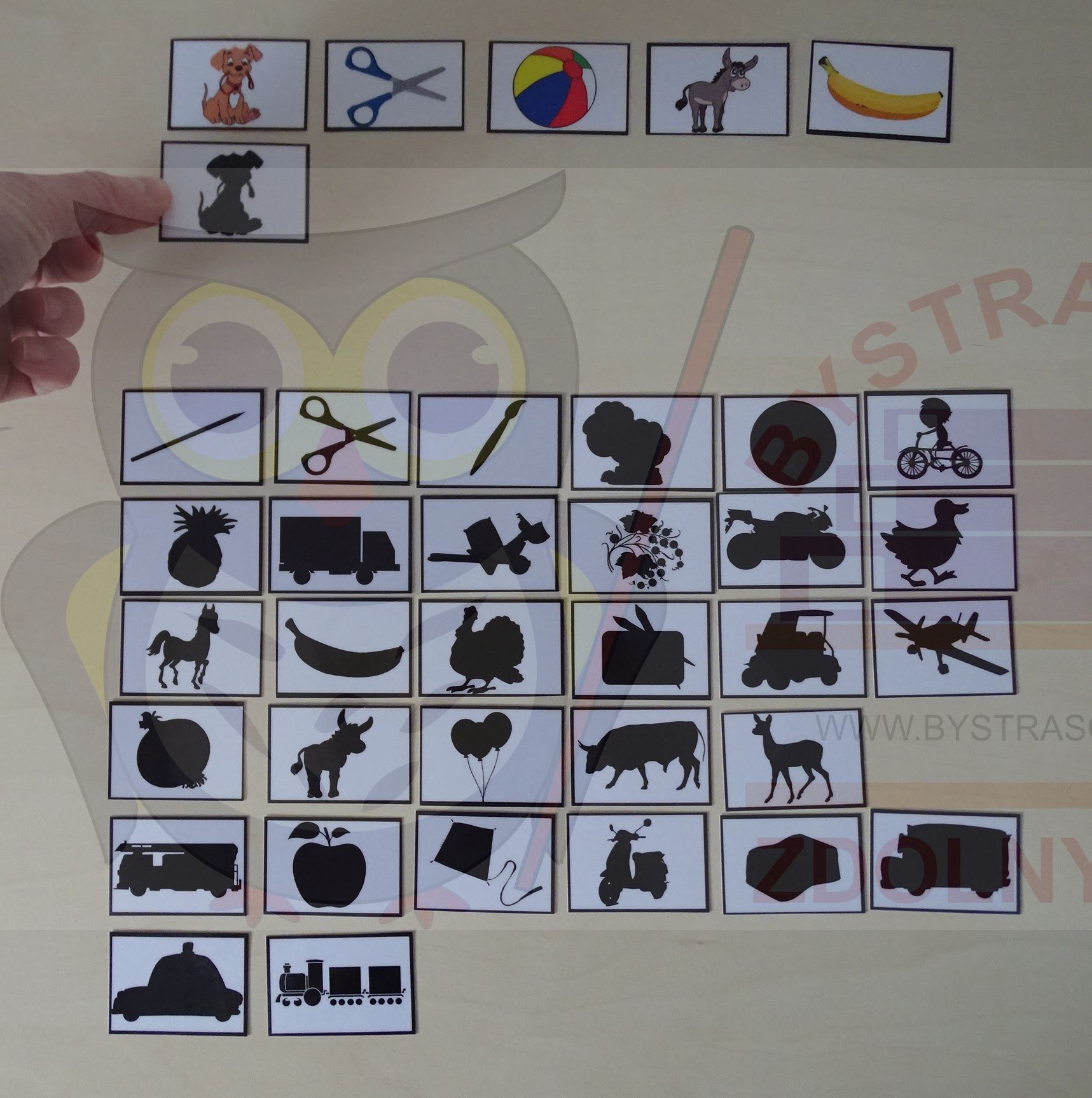 DOPASUJ CIENIE DO OBRAZKÓW CIENIE KARTY Rok wydania 2021