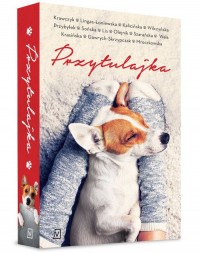 PRZYTULAJKA KRAWCZYK KALICIŃSKA PRZYBYŁEK NOWA 201