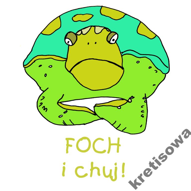 

Męska Koszulka Żółw Żółwik Turtle Wzory z9a