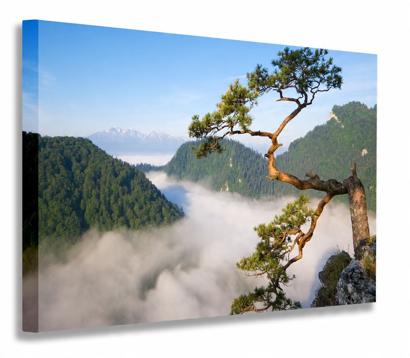 

Obraz Pieniny Sokolica 40x30 Obrazy Na Płótnie