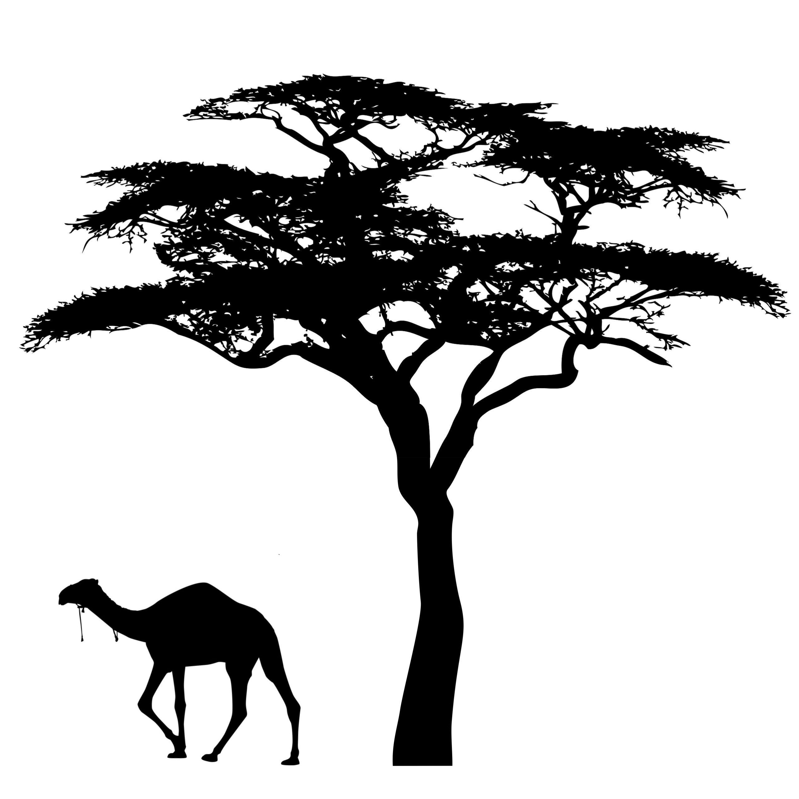 

Naklejki Ścienne Na Ścianę Drzewa Drzewo 150cm XXL