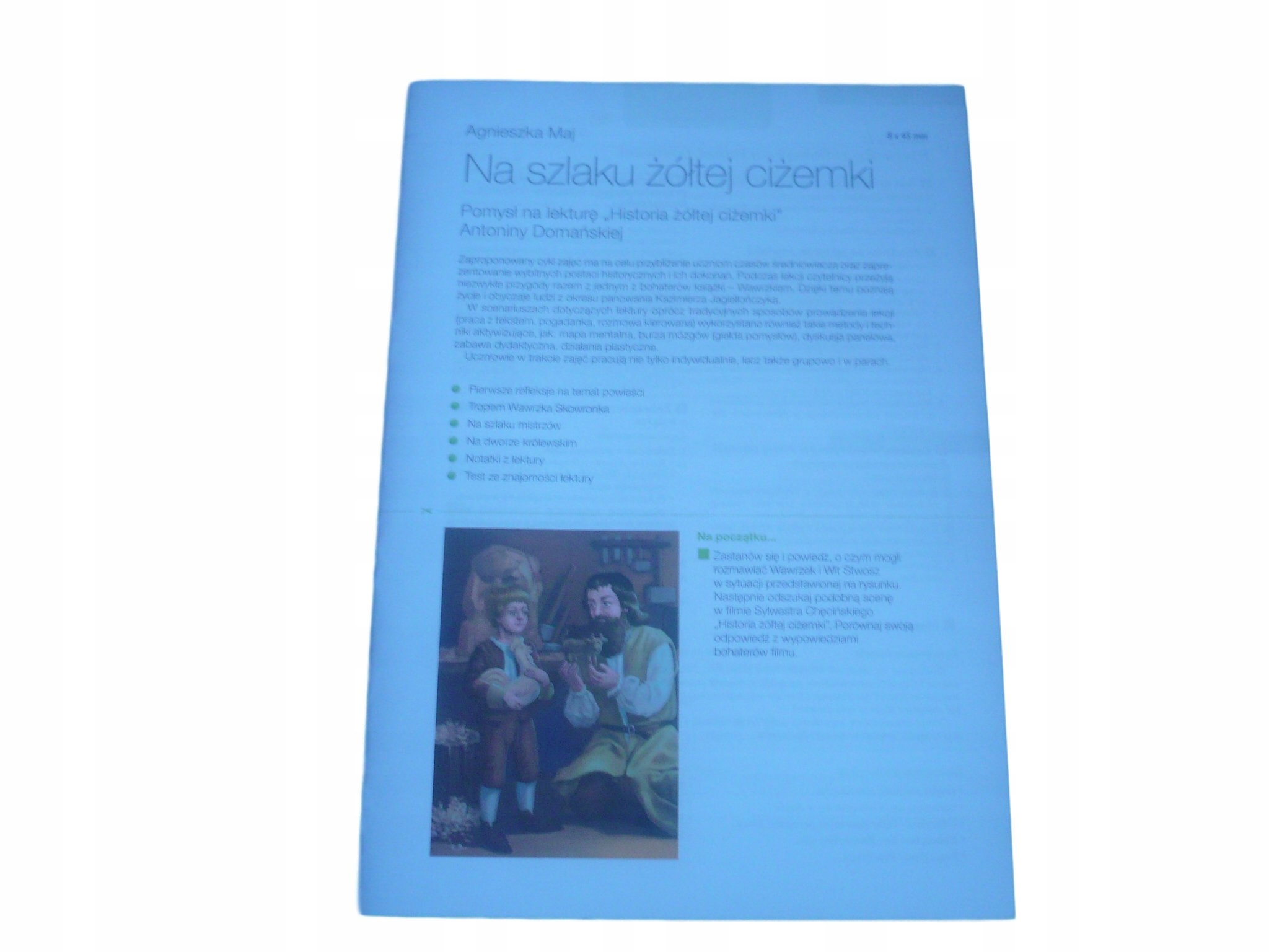 Plan Wydarzeń Historia żółtej Ciżemki HISTORIA ŻÓŁTEJ CIŻEMKI OPRACOWANIE LEKTURY testy (7676960092