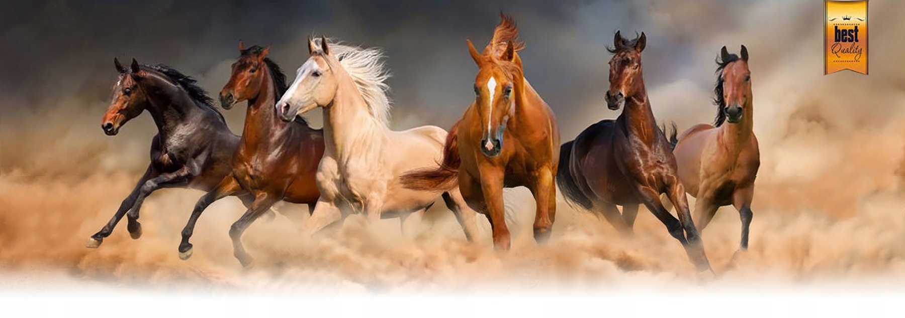 POMPON DO OGŁOWIA UPRZĘŻY Rodzaj inny