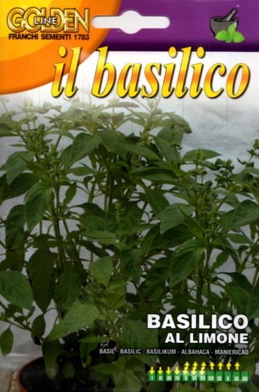 Bazylia cytrynowa ALLIMONE nasiona 4g