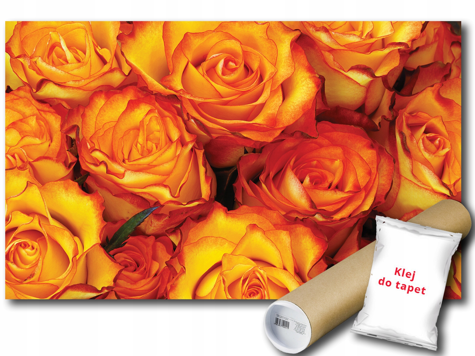 Fototapeta Růže Květiny 9B F2XL 312x219 F3397