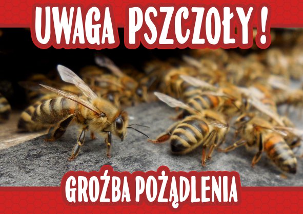 

Tablica Ostrzegawcza uwaga pszczoły 29,5 x 42 cm