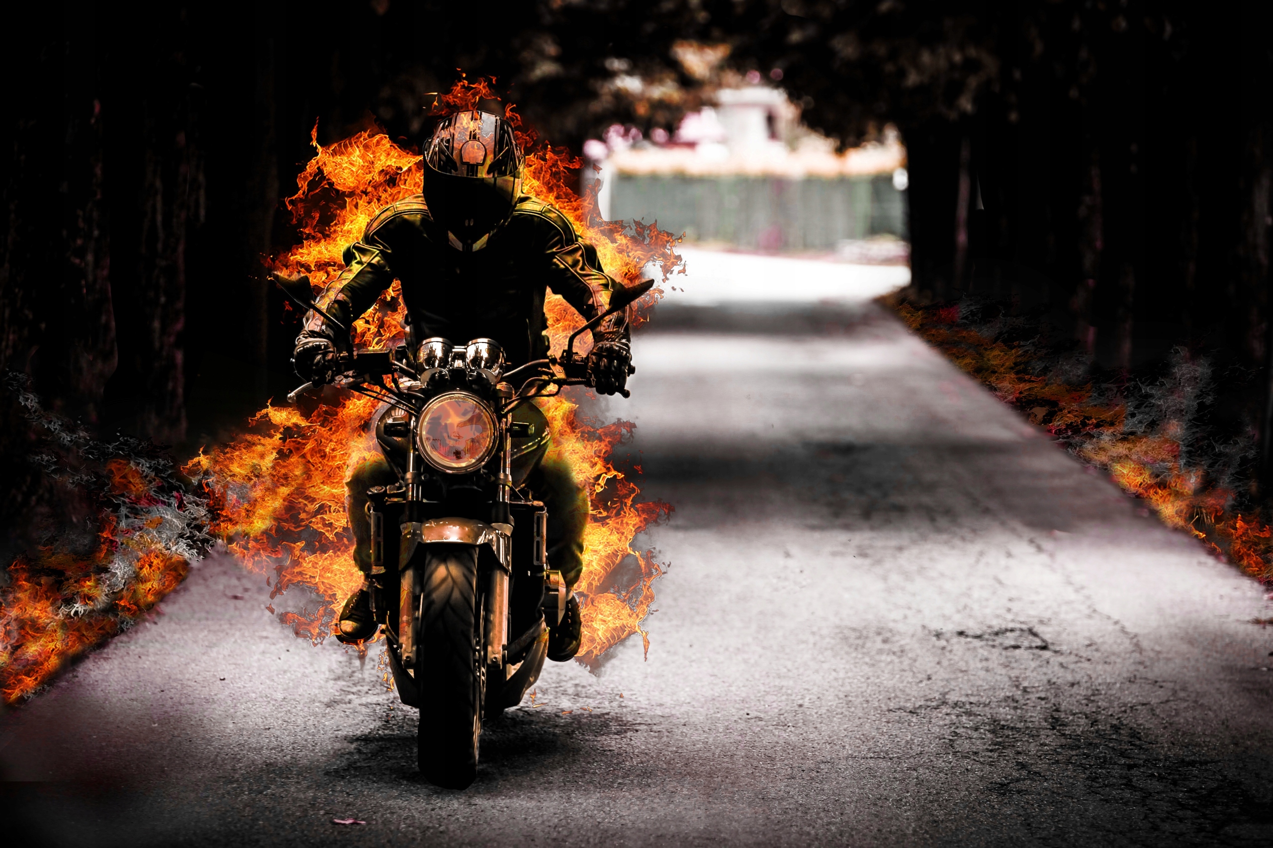 PLAKAT EXCLUSIVE Motocykl-Motor- Papier Foto