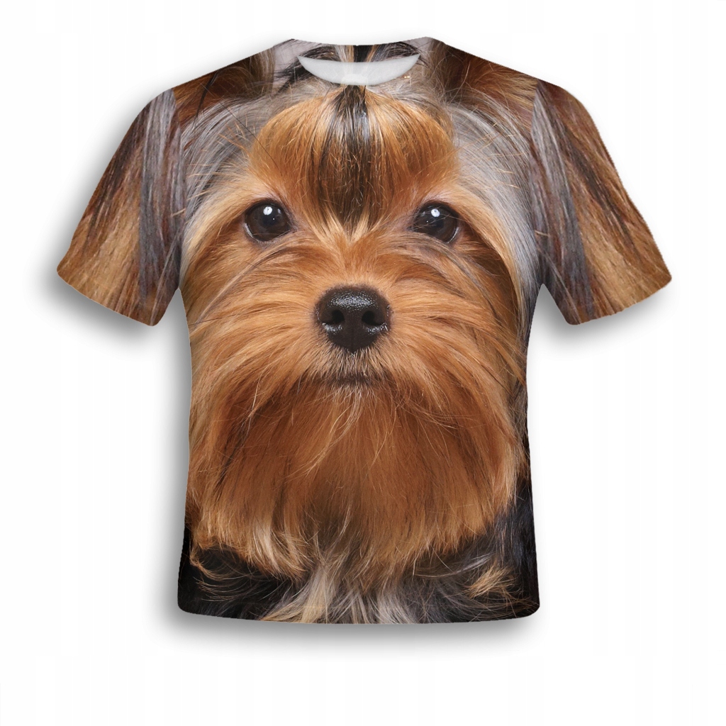 

Koszulka Fullprint T-shirt Piesek York S Modna Pl