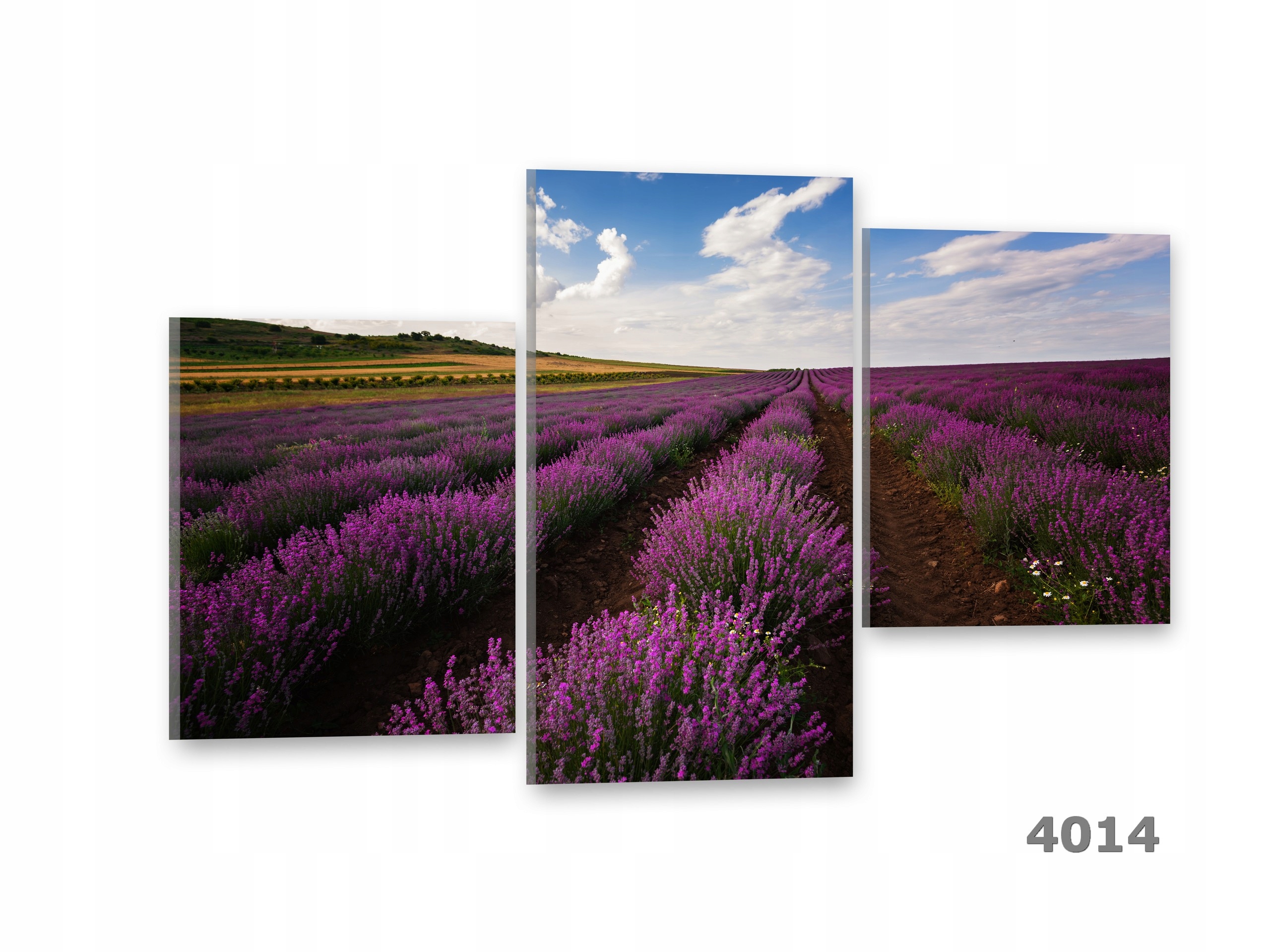 LAWENDA Obrazy na płótnie 90x60 Obraz Canvas Marka inna