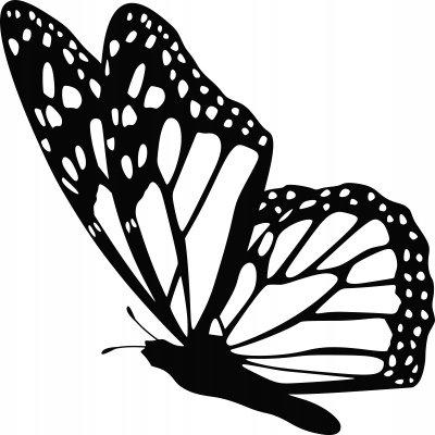 

Naklejka na ścianę z motylem Motyl 15 cm