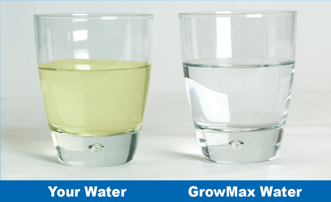 Водяная отзывы. Chlorine in Water ASTM d1253. GROWMAX. Chlorine lover Plants.