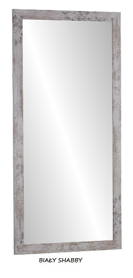 LUSTRO w ramie140X50 WENGE BIAŁE DĄB SONOMA KOLORY Typ lustra ścienne