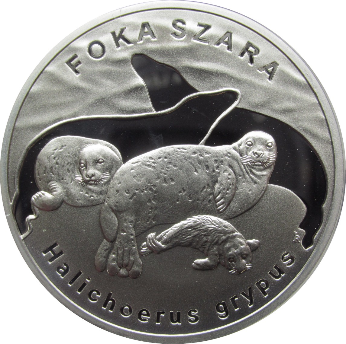 20 ZŁOTYCH 2007 - FOKA SZARA - MENNICZA -PM7974