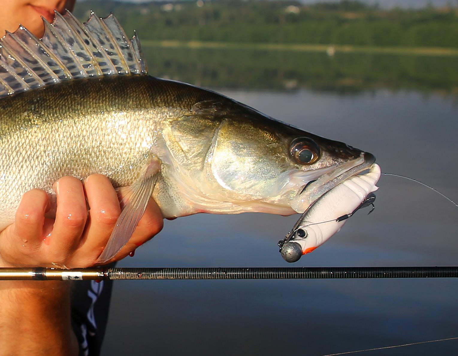 Savage Gear CANNIBAL *SUPER KILLER 15cm Pike Marka Savage Gear