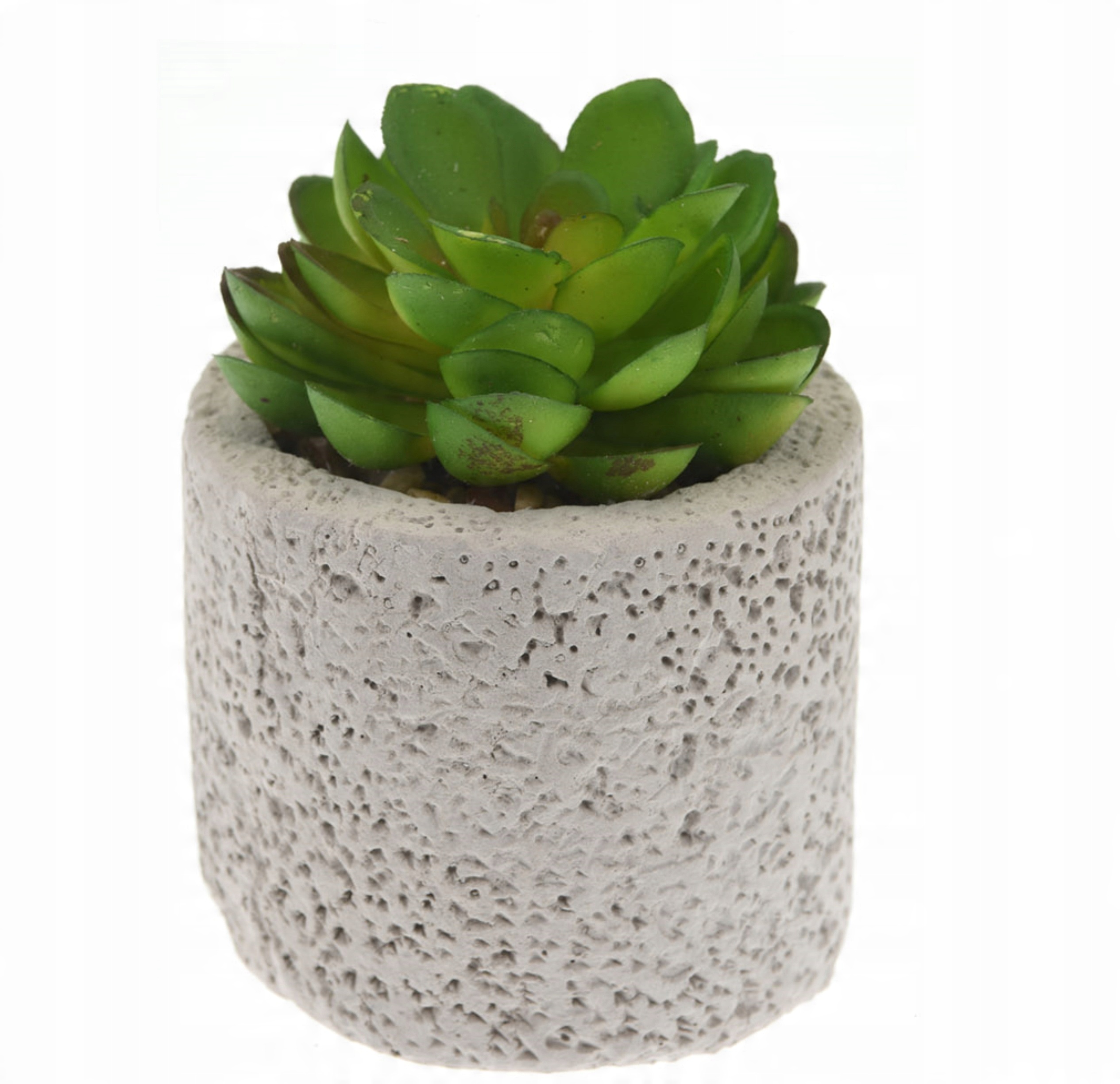 

Sukulenty Kaktus W Betonowej Doniczce 10cm