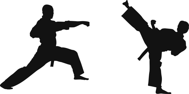 

Naklejka na ścianę Sport Sztuki walki karate 50 cm