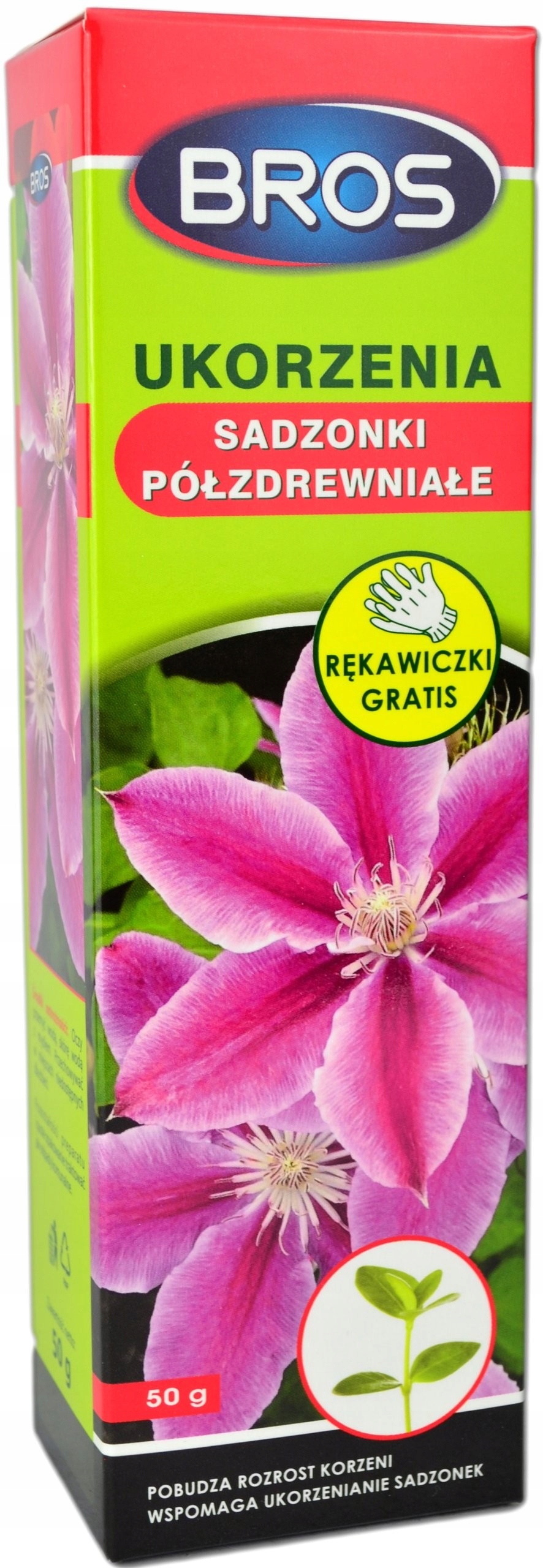 

1523 ukorzenia sadzonki półzdrewniałe 50g