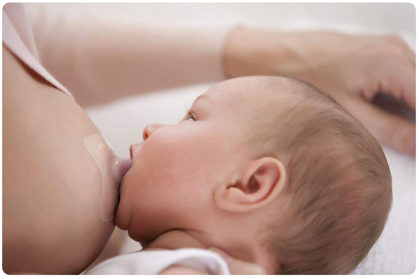 AVENT SILIKONOWE OSŁONKI NA PIERSI SUTKI STANDARD Kod producenta scf153/03