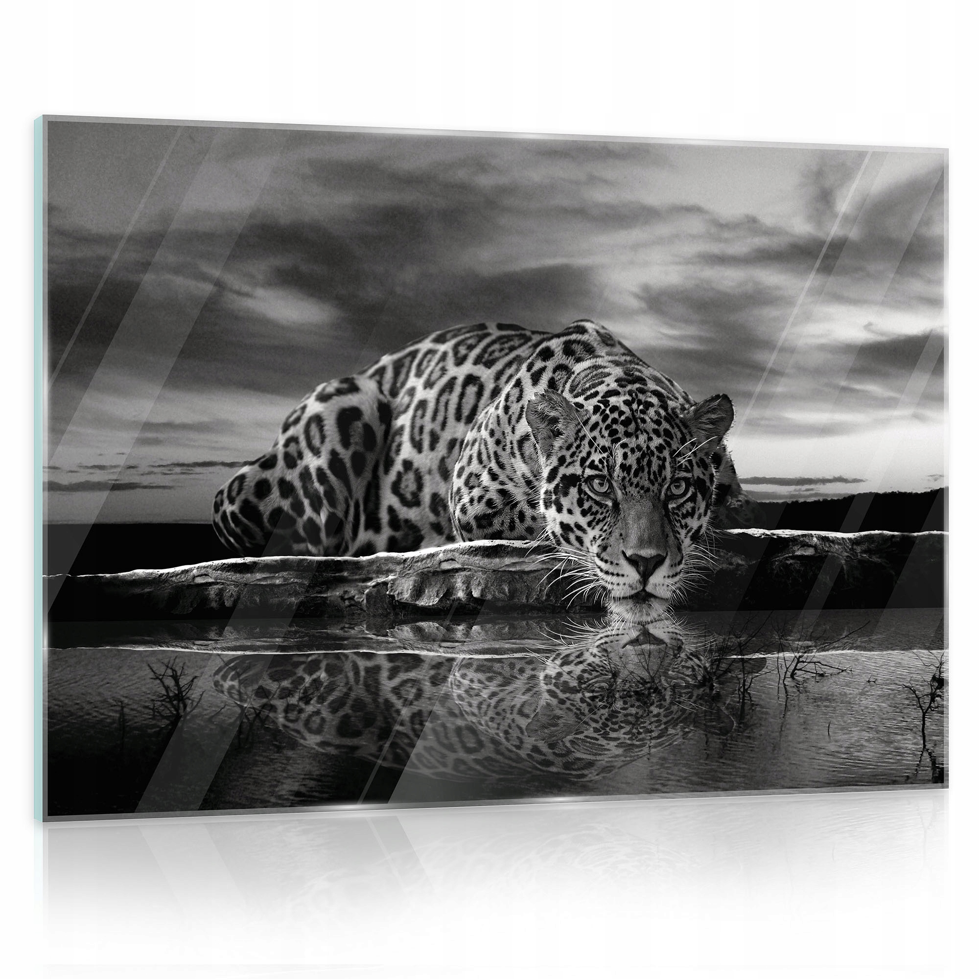 

Obraz Szklany Na Szkle Zwierzęta Jaguar 3D 60x40