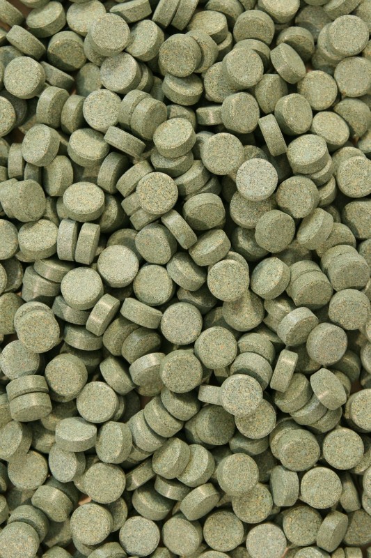 Levně Algentablet Tablety Se Spirulinou 40% Krmivo 1000 G