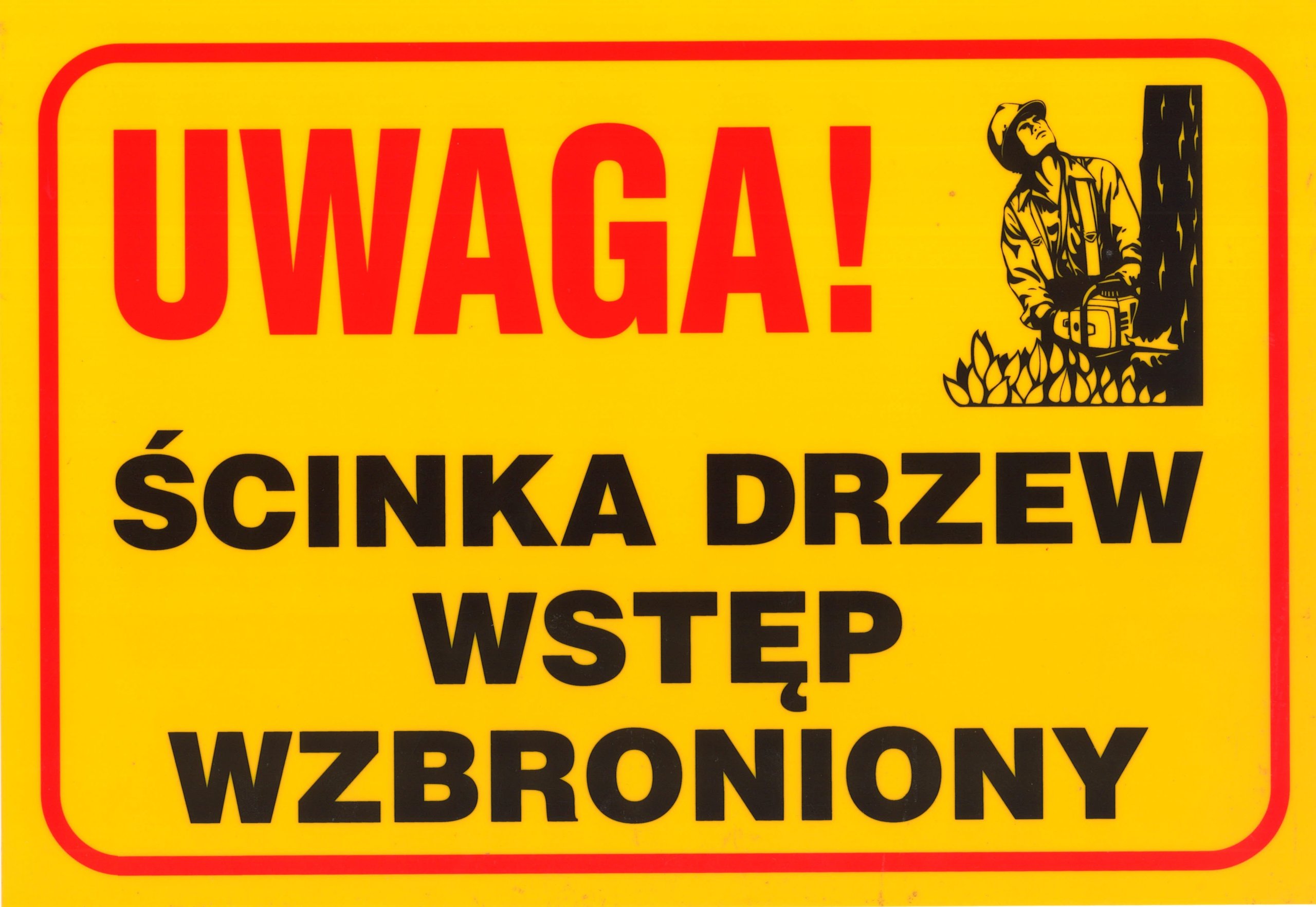 

Naklejka Uwaga Ścinka Drzew 40x30