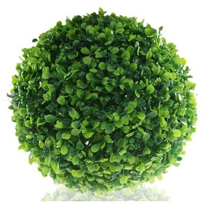 

Kula Bukszpanowa Z Bukszpanu Bukszpan 38 CM Duża