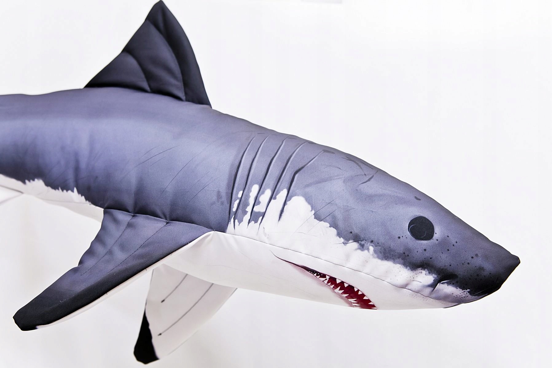 Rekin 3d. Акула робот подушка. Мини акула. Картинки подушки акулы. Мини акула игрушка.
