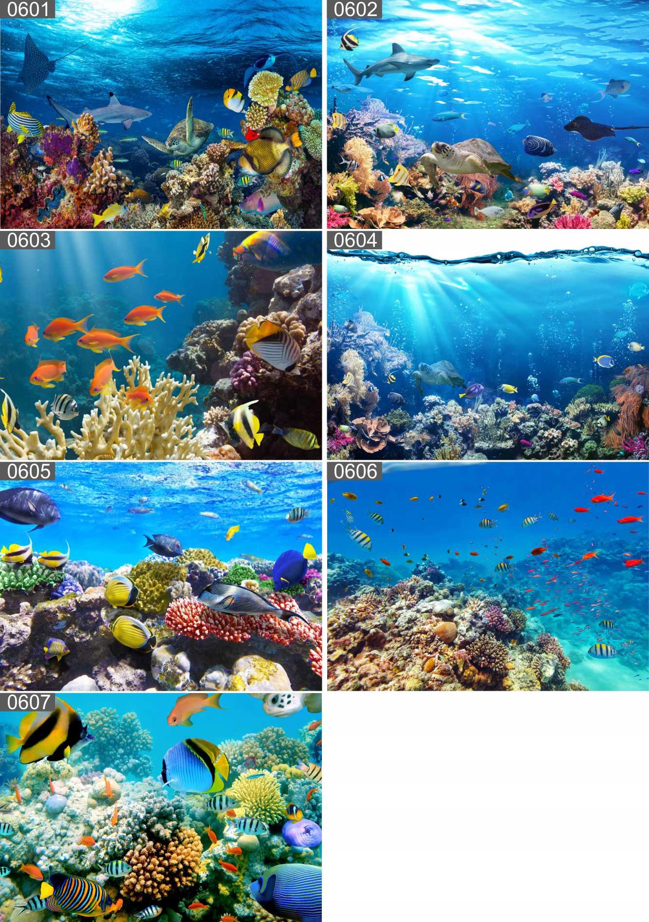 Plakat poster AKWARIUM morze ryby 100x70 maxwybór Wysokość produktu 70 cm