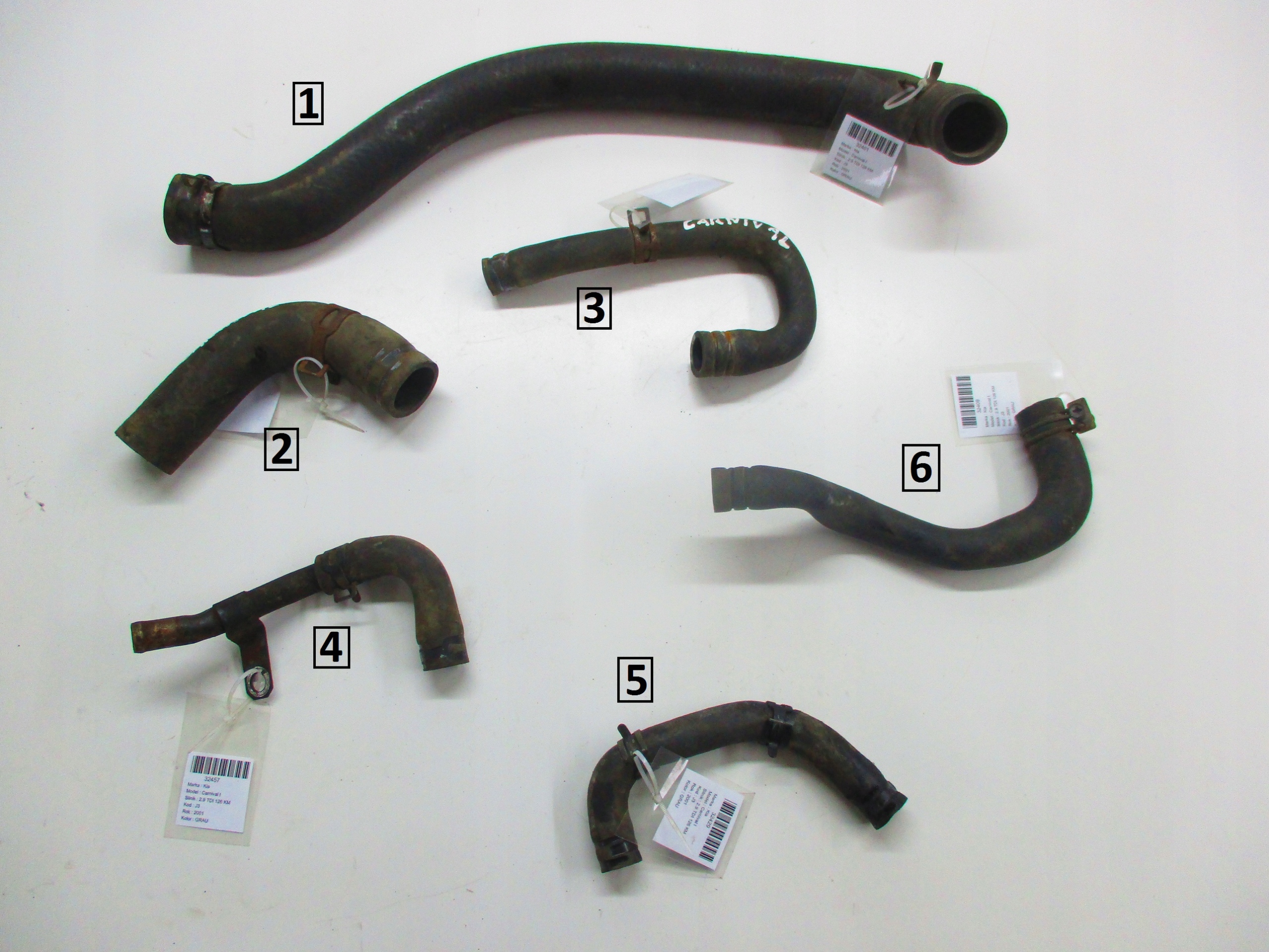 Kia Carnival И 2.9 ТД 98-03 przewod waz воды