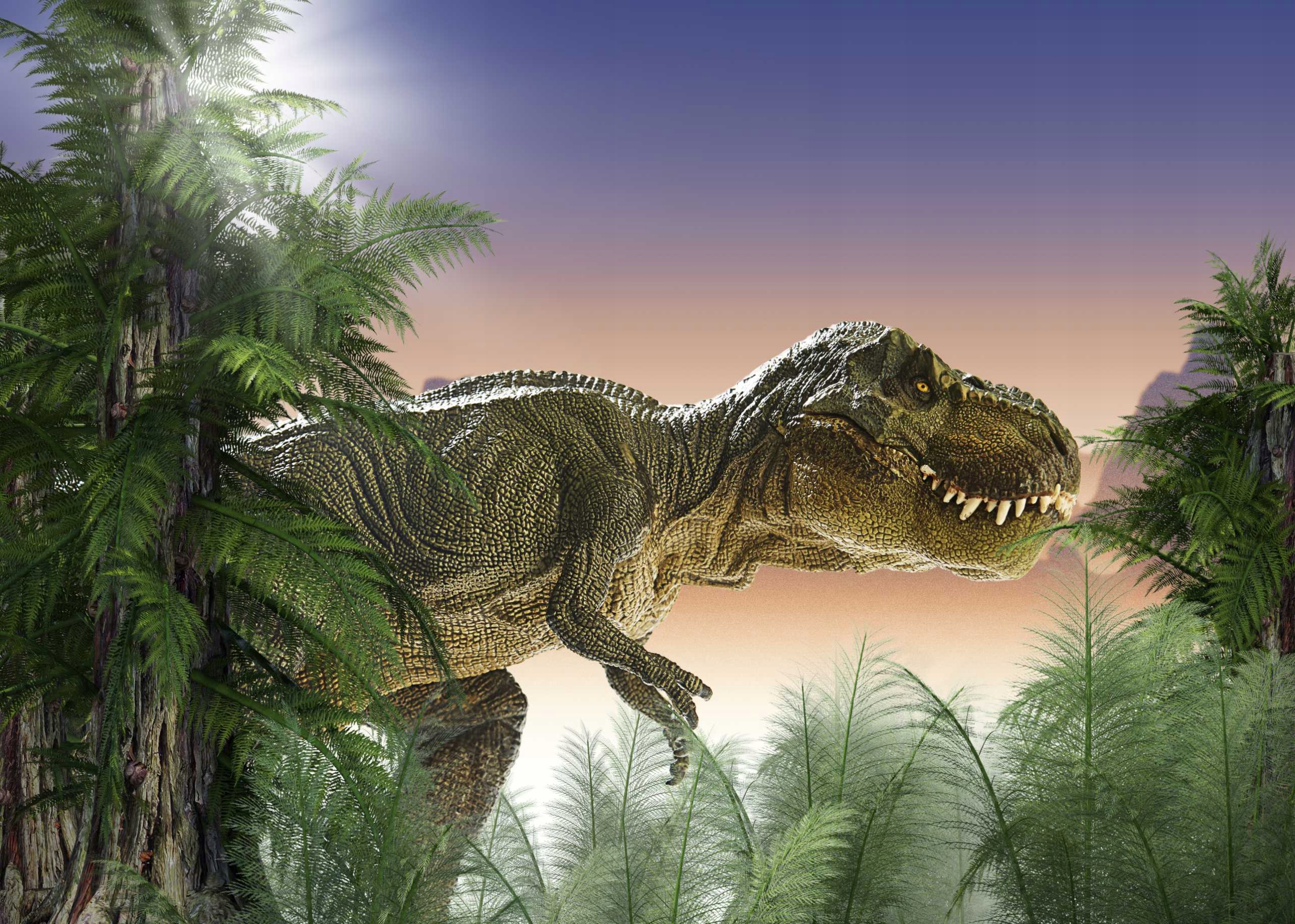 

Fototapeta 3d dinozaury dinosaury 420x280 Wybór