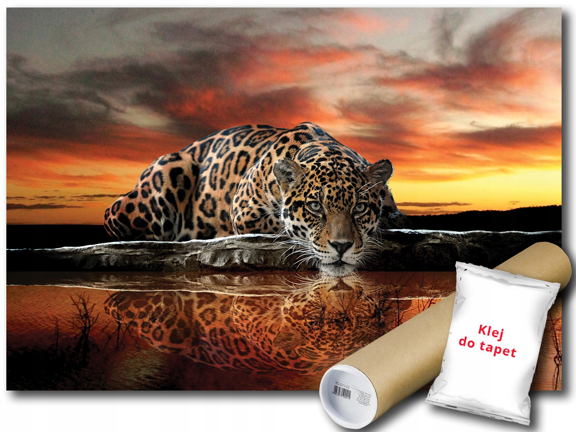 Fototapeta Zvieratko Gepard 12C F3XL 416x254 F126