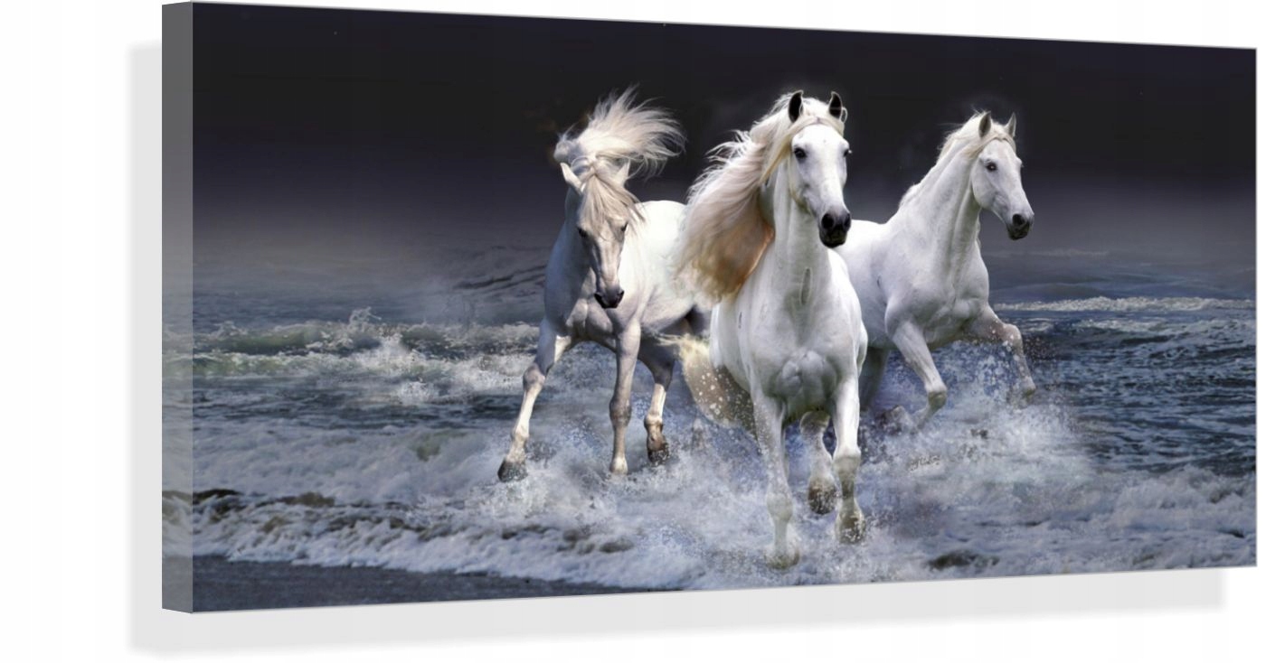 

Dzikie Konie Obraz na płótnie Canvas 120x60cm