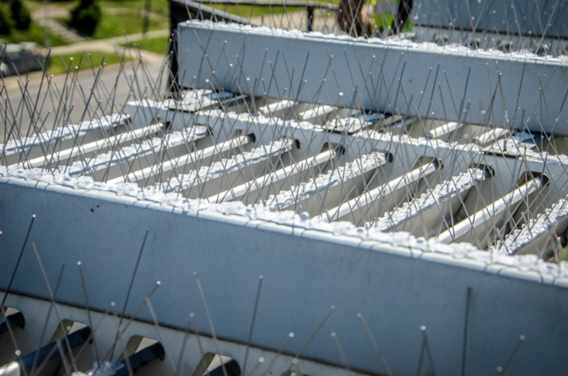 GĘSTE DRUTY NA GOŁĘBIE KOLCE PRZECIW PTAKOM R40 EAN (GTIN) 5902838390061