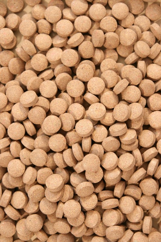 Levně Krmivo Pro Krevety A Raków Shrimpstablets Tablety 1000 G