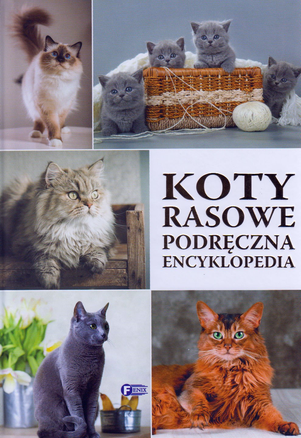 

Koty rasowe