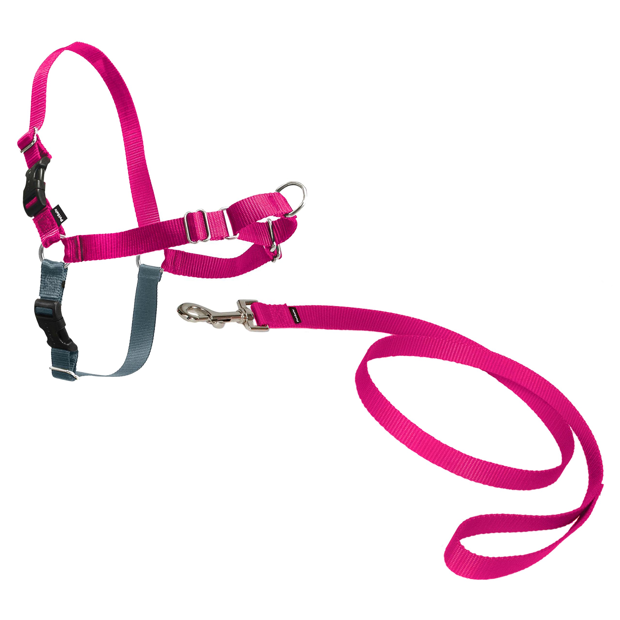 

EasyWalk Uprząż Psa Szelki +smycz MIX Kolor roz.XS