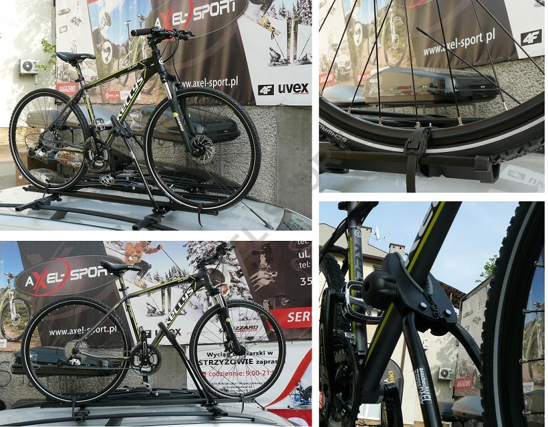 683361f047ab9e5b66b05cb75fc5